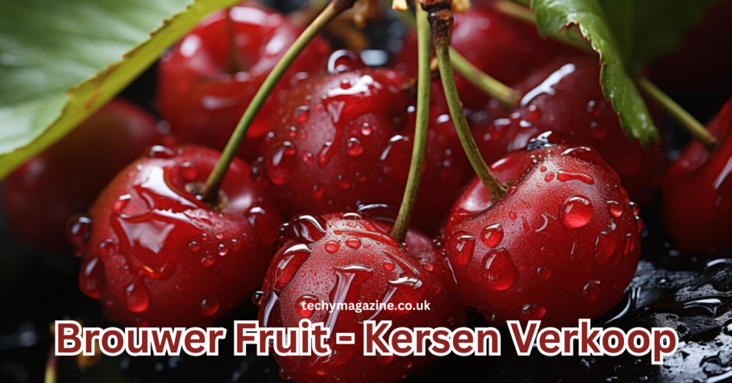 Brouwer Fruit – Kersen Verkoop Cherry