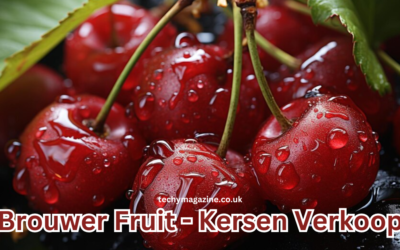 Brouwer Fruit - Kersen Verkoop
