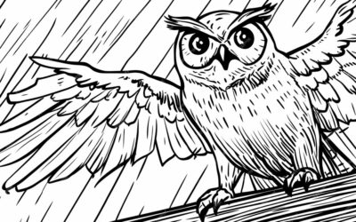 Drawing:lfgxzvm9-r8= Owl