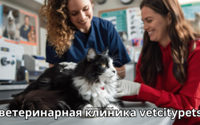 ветеринарная клиника vetcitypets Taking care of your pets ветеринарная клиника vetcitypets