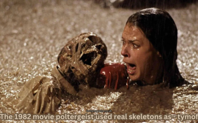 The 1982 movie poltergeist used real skeletons as – tymoff The 1982 movie poltergeist used real skeletons as - tymoff