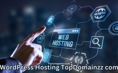 WordPress Hosting TopDomainzz com